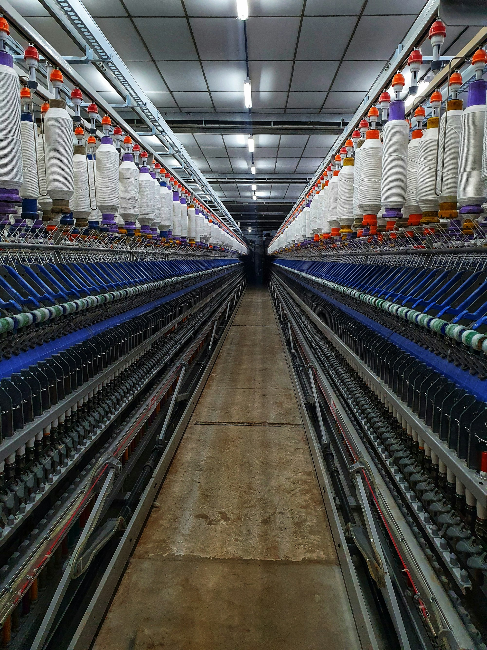 Rows of yarn bobbins on spinning machines in a textile mill